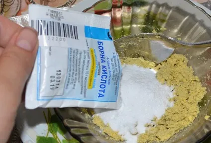 Борна кислота від тарганів використовувати чи ні (тарганів) Борна кислота від тарганів використовувати чи ні