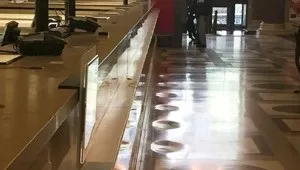 Цілющі властивості саранки