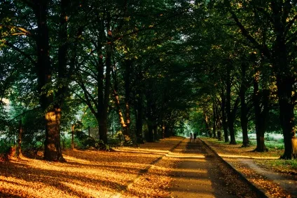 Центральний ботанічний сад як місце для весільної фотосесії в кіеве👰 (центральний) Центральний ботанічний сад як місце для весільної фотосесії в кіеве👰