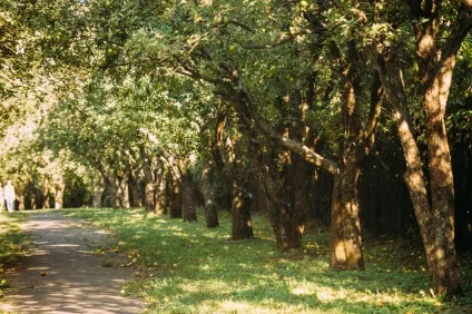 Центральний ботанічний сад як місце для весільної фотосесії в кіеве👰 (києві) Центральний ботанічний сад як місце для весільної фотосесії в кіеве👰