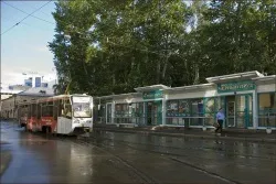 чорний ставок