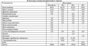 Чим харчується осетер в природі - перелік
