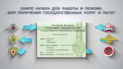 Що робити, якщо втрачено СНІЛС (документ підтверджує статус) Що робити, якщо втрачено СНІЛС