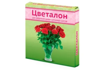 Що додати в воду, щоб хризантеми довше стояли у вазі корисні хитрощі (додати) Що додати в воду, щоб хризантеми довше стояли у вазі корисні хитрощі