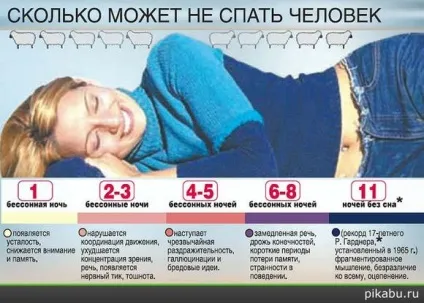Що буде якщо часто вже не висипатися - все що ти хотіла запитати (можна) Що буде якщо часто вже не висипатися - все що ти хотіла запитати