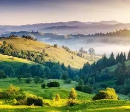 Що таке чача
