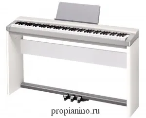 Що краще - casio або yamaha