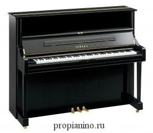 Що краще - casio або yamaha