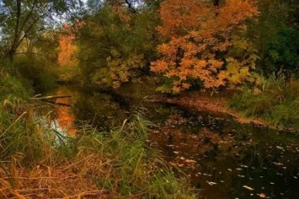 Що таке бабине літо