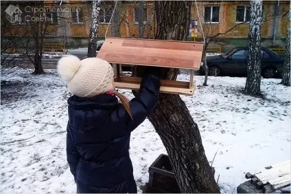 Що зробити із залишків ламінату - ідеї і реалізації (зробити) Що зробити із залишків ламінату - ідеї і реалізації