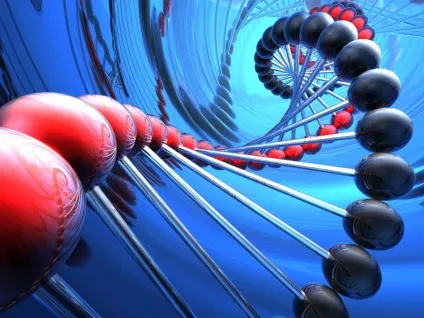 Що собою являє ДНК, dna solutions - генетична лабораторія (собою) Що собою являє ДНК, dna solutions - генетична лабораторія