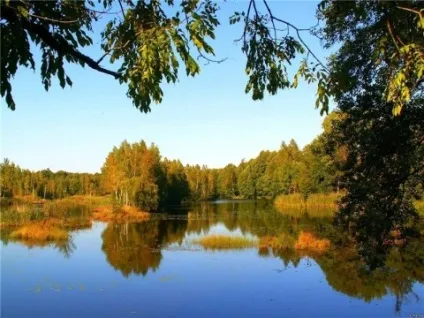 Що таке бабине літо