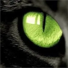 Що таке - ефект котячого ока (білої світловий смуги) Що таке - ефект котячого ока