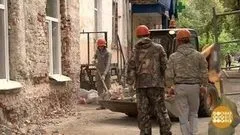 Що за птах цей гусак