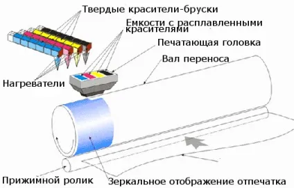 Що таке твердочернильная друк і твердочернильная принтер - лікнеп - база знань