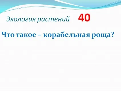 Що таке - корабельний гай