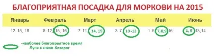 Як садити моркву щоб не проріджувати її потім (морква) Як садити моркву щоб не проріджувати її потім
