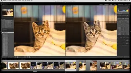 Як розмити фон в lightroom, як прибрати шуми в lightroom - в softmagazin (змінити колірний профіль) Як розмити фон в lightroom, як прибрати шуми в lightroom - в softmagazin