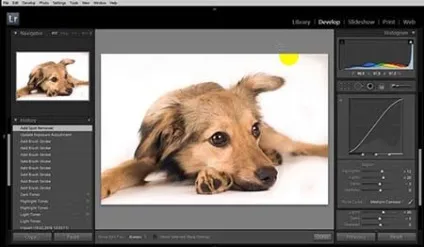 Як розмити фон в lightroom, як прибрати шуми в lightroom - в softmagazin (лайтрум) Як розмити фон в lightroom, як прибрати шуми в lightroom - в softmagazin