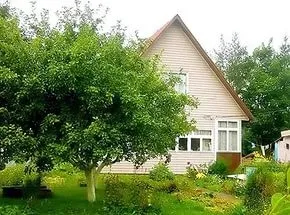 Дачна амністія що це, умови, терміни і порядок проведення
