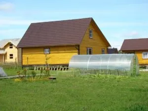Дачна амністія що це, умови, терміни і порядок проведення