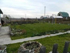 Квітники підбираємо поєднання хвойних рослин з трояндами, створюємо гарний сад (поєднання) Квітники підбираємо поєднання хвойних рослин з трояндами, створюємо гарний сад