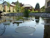 Декоративний водоспад, водоспади в інтер'єрі, водоспади декоративні (водоспади) Декоративний водоспад, водоспади в інтер'єрі, водоспади декоративні