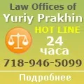 Дівчина з Татарстану вбила цуценя заради фотосесії - портал гарного настрою (заради) Дівчина з Татарстану вбила цуценя заради фотосесії - портал гарного настрою