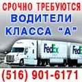 Дівчина з Татарстану вбила цуценя заради фотосесії - портал гарного настрою (цуценя) Дівчина з Татарстану вбила цуценя заради фотосесії - портал гарного настрою