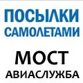 Дівчина з Татарстану вбила цуценя заради фотосесії - портал гарного настрою (цуценя) Дівчина з Татарстану вбила цуценя заради фотосесії - портал гарного настрою