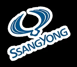 Діагностика ssangyong actyon