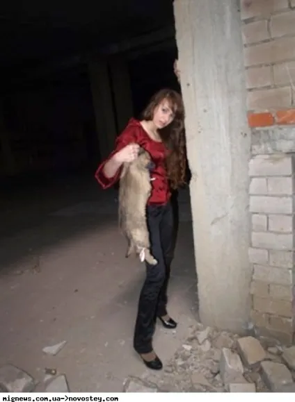 Дівчина вбила цуценя заради фотосесії - суспільство на (новини) Дівчина вбила цуценя заради фотосесії - суспільство на