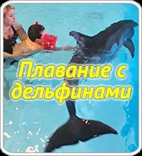 Для чого ж потрібні дельфінарії (дельфінотерапія Лазаревське) Для чого ж потрібні дельфінарії