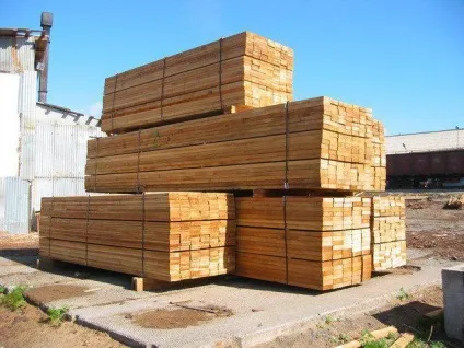 Будинок з модрини переваги і недоліки (будівлі цього матеріалу) Будинок з модрини достоїнства і недоліки