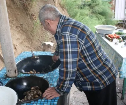 Джиз справжній що і як - листи про Ташкенті (Ташкент) Джиз справжній що і як - листи про Ташкенті