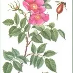 етап 4