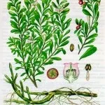 етап 4