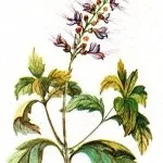 етап 4