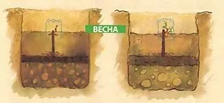 Етапи формування виноградної лози - фазенда-онлайн (кущів проти хвороб) Етапи формування виноградної лози - фазенда-онлайн