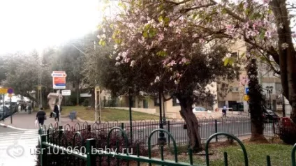 Екскурсія по Петах Тіква, Ізраїль (багато фото), вулиця Ротшильда в петах тіхве петах тиква фото (вагітність) Екскурсія по Петах Тіква, Ізраїль (багато фото), вулиця Ротшильда в петах тіхве петах тиква фото