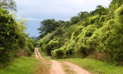 Ель-рей, parque nacional el rey (parque) Ель-рей, parque nacional el rey