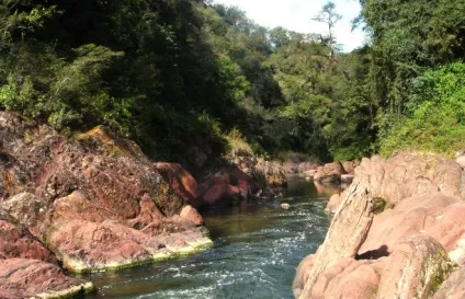 Ель-рей, parque nacional el rey (ель-рей) Ель-рей, parque nacional el rey