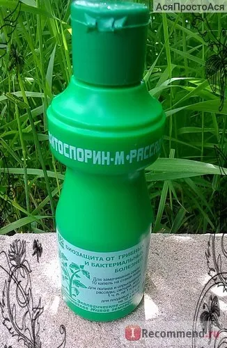Фітоспорін - м, ж розсада, овочі, ягоди, плодові ооо НВП башінком - «помідори гниють, а від (помідори) Фітоспорін - м, ж розсада, овочі, ягоди, плодові ооо НВП башінком - «помідори гниють, а від