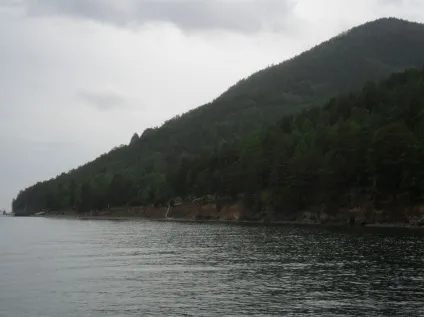 Фото байкал, великі коти (2011) (коти) Фото байкал, великі коти (2011)