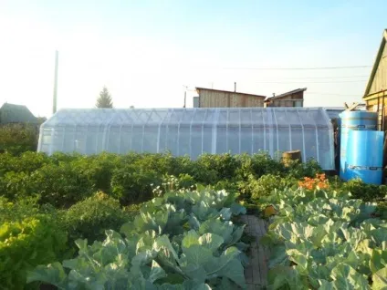Фото звіт про те, як покрити стару теплицю полікарбонатом (полікарбонатом) Фото звіт про те, як покрити стару теплицю полікарбонатом