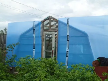 Фото звіт про те, як покрити стару теплицю полікарбонатом (листами полікарбонату теплицю) Фото звіт про те, як покрити стару теплицю полікарбонатом