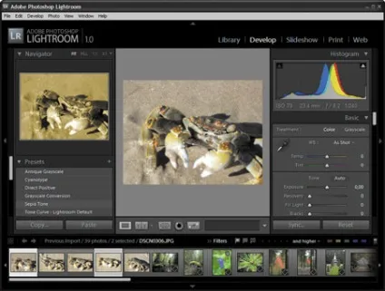 Фотоорганайзер для професійного фотографа, КомпьютерПресс (ACDSee Photo Manager) Фотоорганайзер для професійного фотографа, КомпьютерПресс
