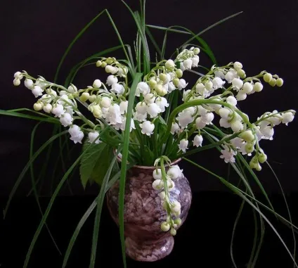 фото натюрморти
