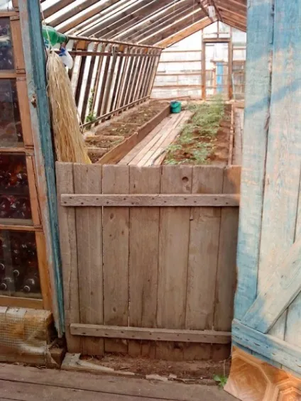 Фото звіт про те, як покрити стару теплицю полікарбонатом (полікарбонатом) Фото звіт про те, як покрити стару теплицю полікарбонатом