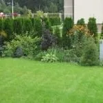 Газон на дачі (39 фото) спортивний, відео-інструкція з оформлення на дачній ділянці своїми руками (газон на дачі спортивний оформлення трава ціна) Газон на дачі (39 фото) спортивний, відео-інструкція з оформлення на дачній ділянці своїми руками